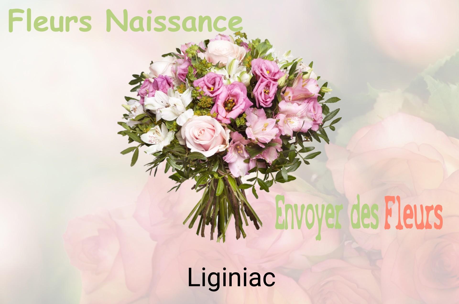 Bouquet de fleurs de naissance livré à Liginiac