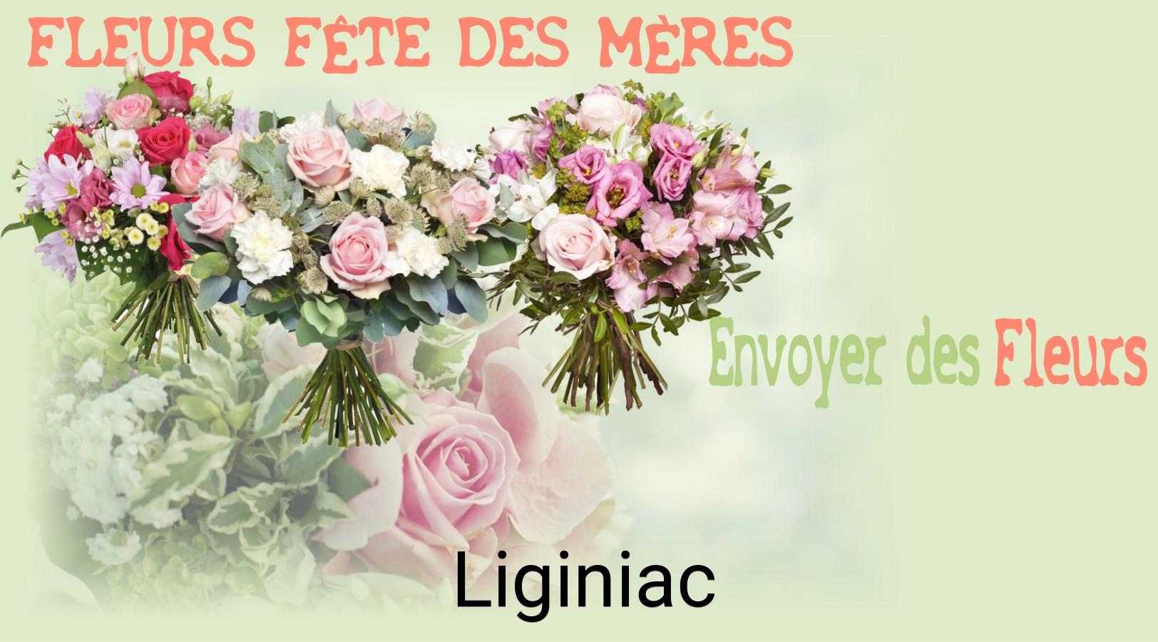 Bouquet de Fête des Mères livré à Liginiac